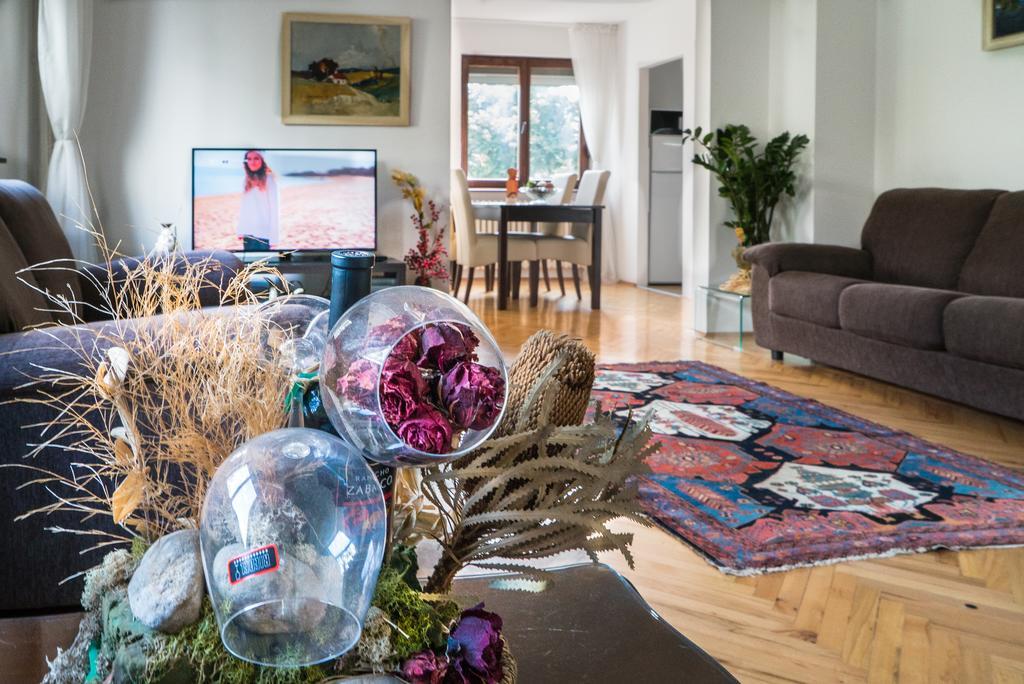 Sensitive Apartment بلغراد المظهر الخارجي الصورة